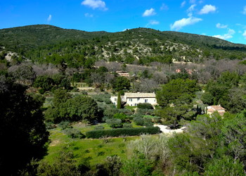 Lauris, La Sarrazine