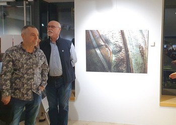 Description de l'image