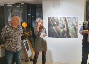 Description de l'image