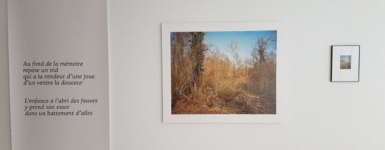 Description de l'image