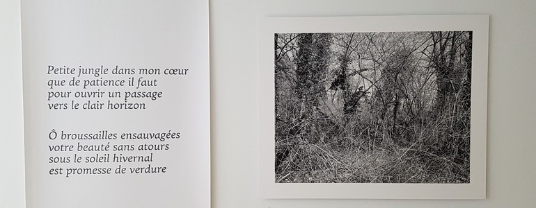 Description de l'image