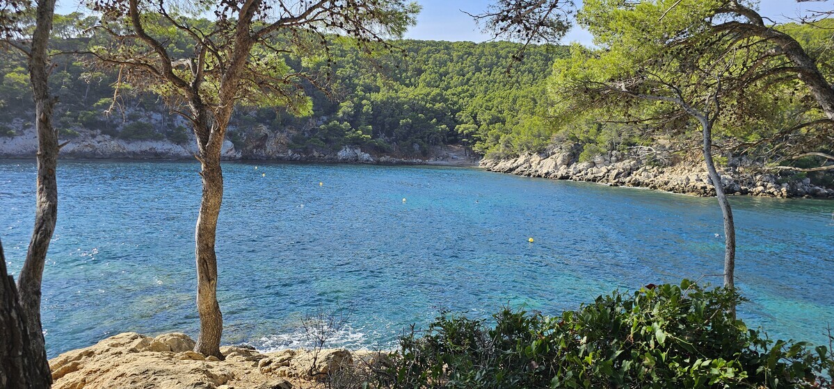Pause estivale